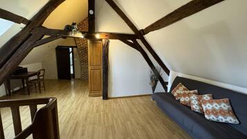 Télévision à écran plat, cheminée, lecteur de DVD