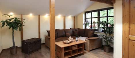 Älytelevisio, DVD-soitin, kirjoja, stereot