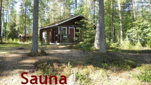 A cabin in a forest with a dirt path leading to it.