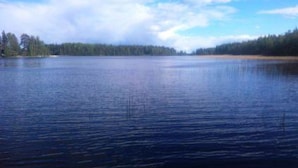 A calm lake with a forested shoreline and a clear sky.