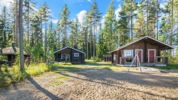 Eine Holzhütte mit erdeger Boden, umgeben von hoch aufragenden Kiefern.