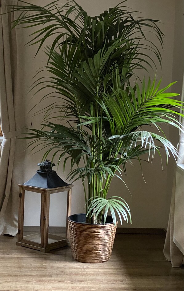 Interior - Exquisite holiday apartments on the Baltic Sea Holiday house in Saal / OT Bartelshagen II (Saal)