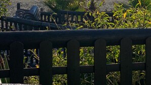Vista de una playa con palmeras y una cerca de madera.