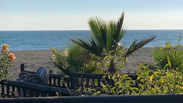 Playa en los alrededores y camastros