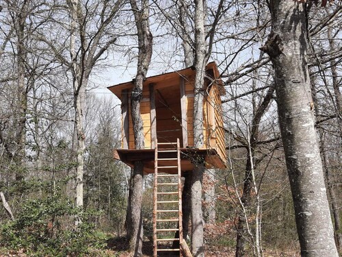 Gîte en pleine nature avec Wifi, animaux acceptés