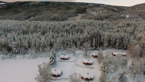 Un bosque cubierto de nieve con varias cabañas.