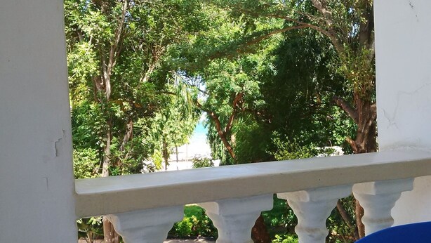 A balcony with a white balustrade overlooking a garden with various trees and a clear sky. - Emerald House (Dar es Salaam)