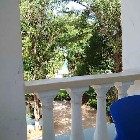 Vista desde la habitación