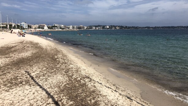 A beach with clear water, sandy shore, and buildings in the background. - 3 rooms apartment renovated with panoramic sea view (antibes)