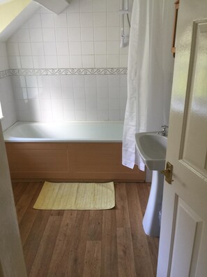 Shower, hair dryer, soap, toilet paper