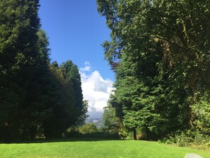 Property grounds - Grove Cottage (Machynlleth)