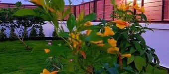 鹿之家家庭旅館