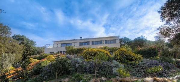 Une maison moderne à deux étages, dotée d’un toit plat et entourée d’une grande variété de plantes et d’arbres.