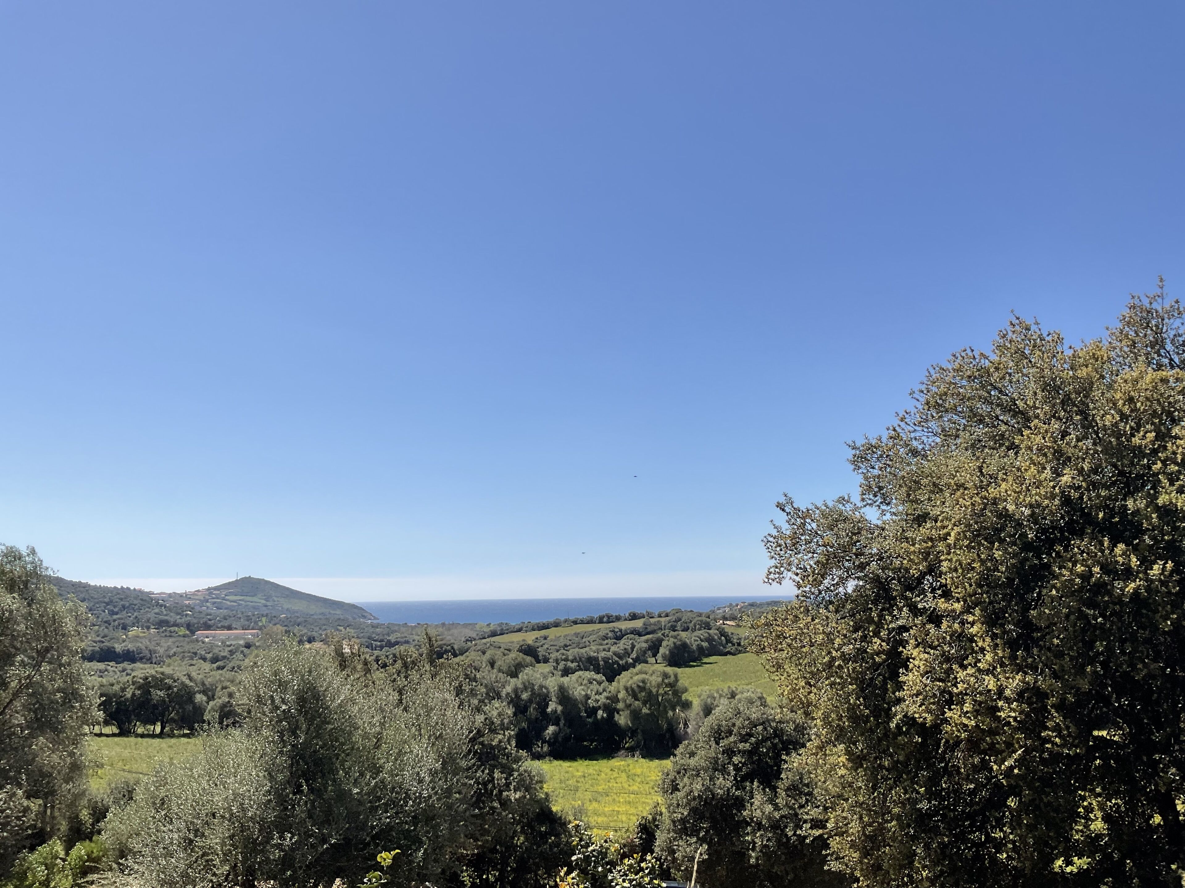 Eine malerische Landschaft mit sanften Hügeln, dichtem Baumbestand und blauem Himmel.