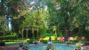 A garden with a circular fountain, surrounded by flower pots and a statue. - Agriturismo La Striscia (Arezzo)