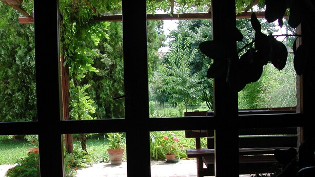 Blick durch ein Fenster auf einen Garten.