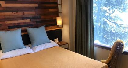 Views from top of Shimla, 600 M from the Mall Road and The Ridge, Drive - in