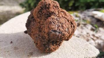 A rock with a rough texture and a small, dark object on it.