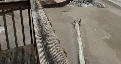 Schönes Haus direkt am Strand