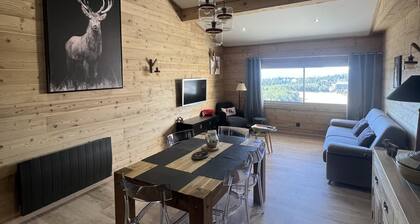 SPACIEUX 60M2 , PIED DES PISTES, VUE EXCEPTIONNELLE