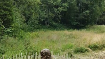 Enceinte de lâhĂ©bergement