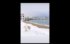 Beach nearby, beach towels