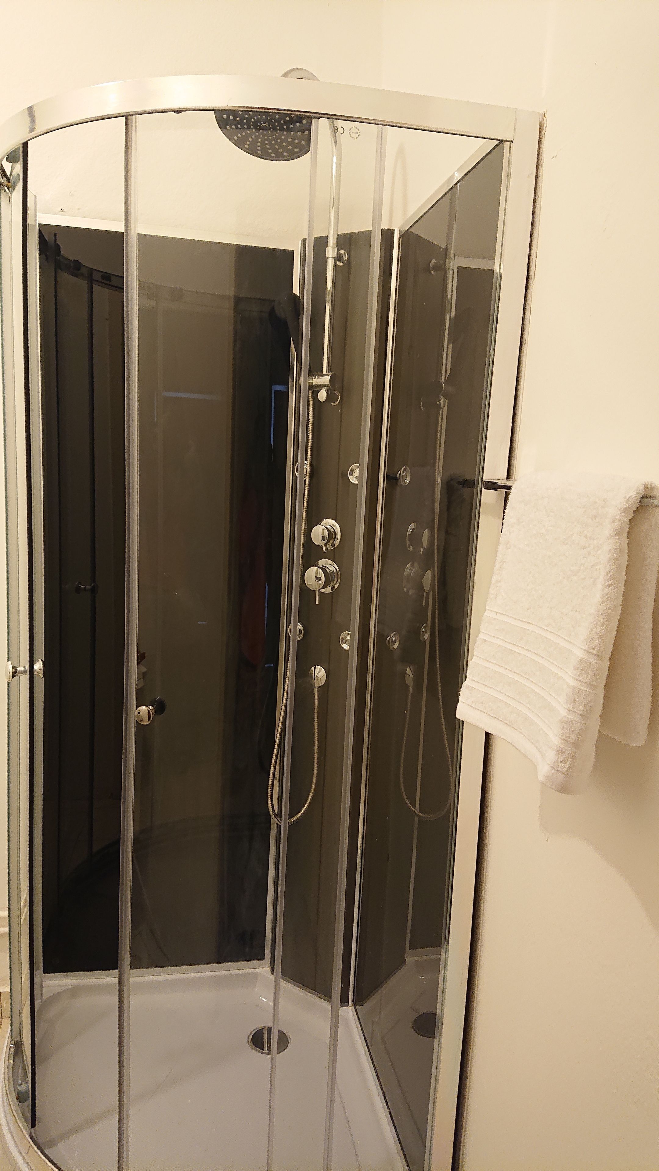 A glass-enclosed shower stall with a handheld showerhead, a wall-mounted towel rack, and a visible door handle.