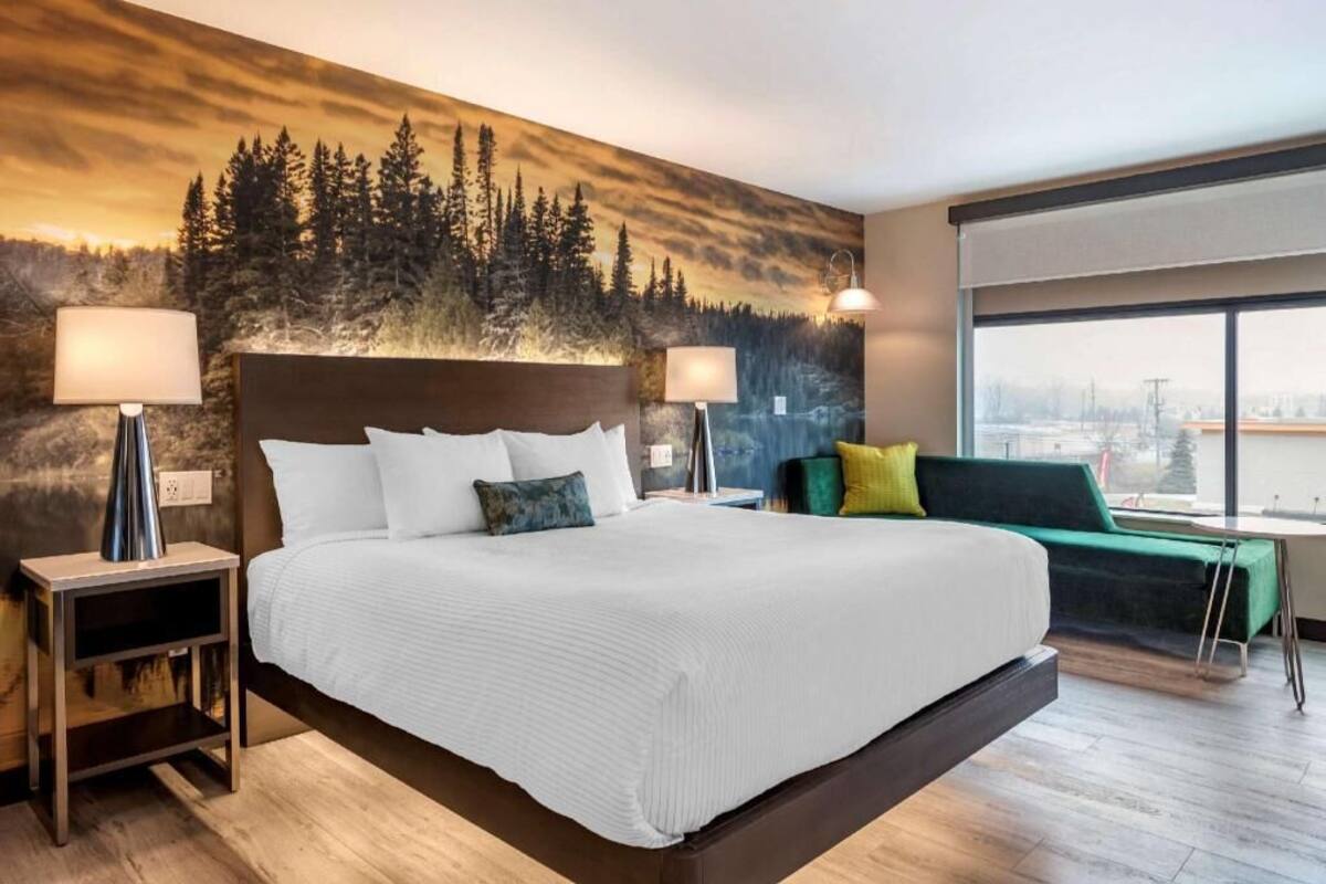 A hotel room with a large bed, two bedside lamps, a green sofa, and a mural of a forest on the wall.
