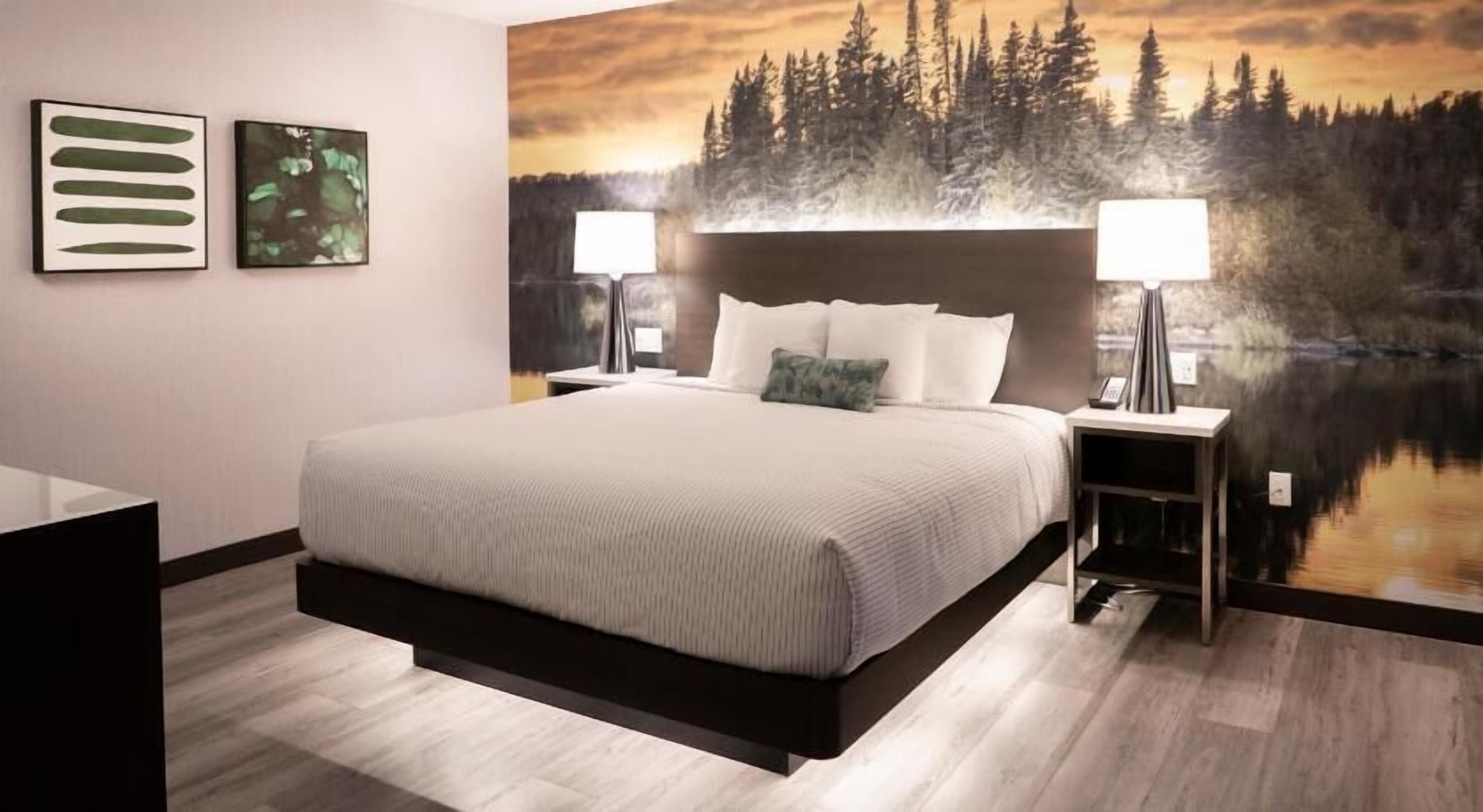 Una camera d'albergo con un letto, due comodini con lampade, un quadro grande raffigurante una foresta e una scrivania con una sedia.
