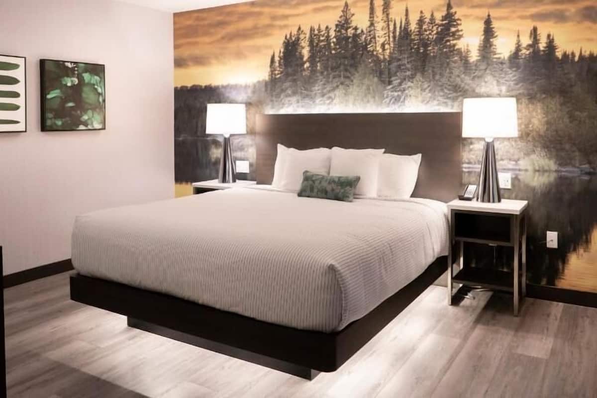 A hotel room with a bed, two bedside tables with lamps, a large painting of a forest, and a desk with a chair.