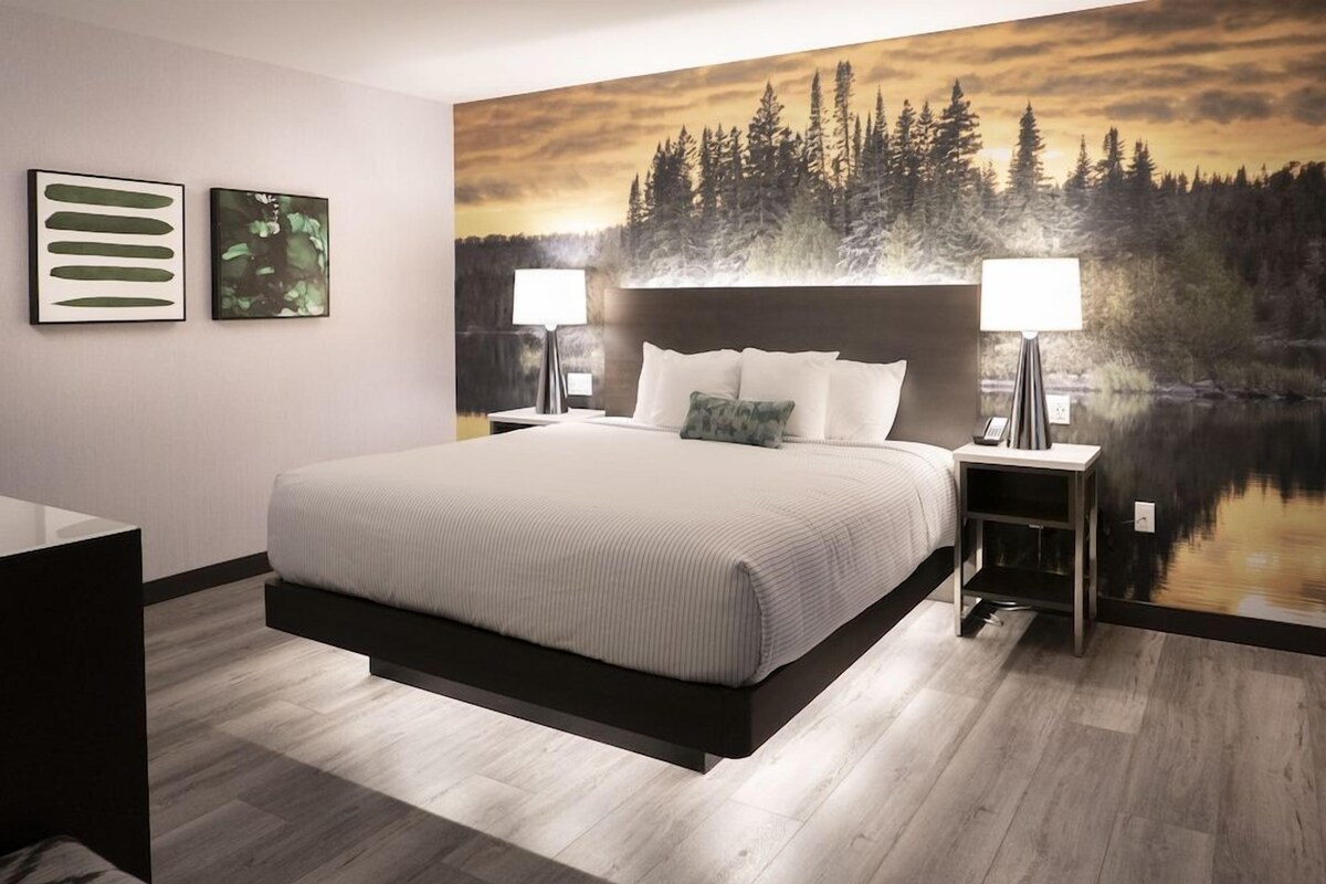 Una habitación de hotel moderna con una cama grande, dos mesitas de noche con lámparas, vista a un bosque por la ventana y un cuadro en la pared.