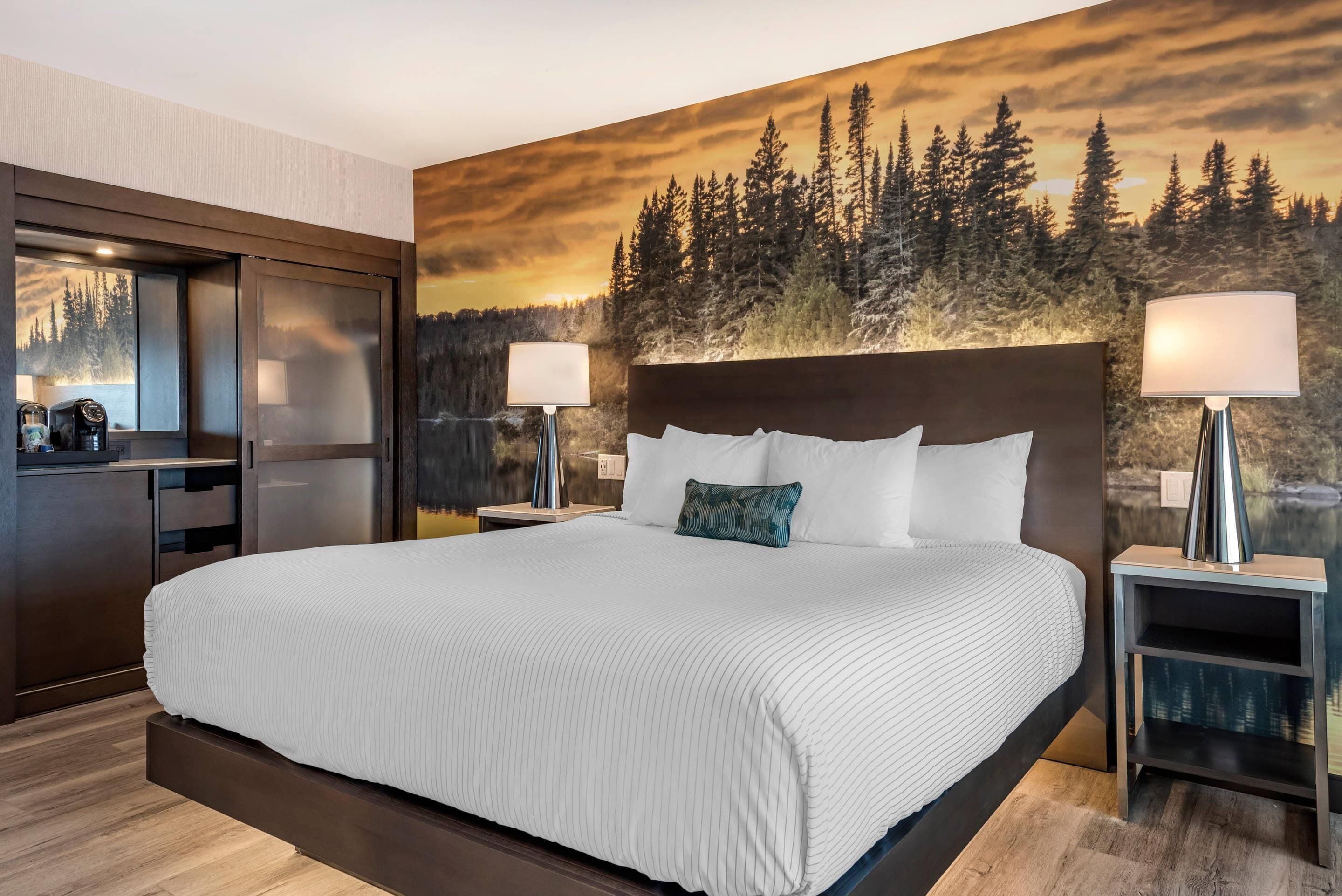 in-room safe, desk, laptop workspace, blackout curtains