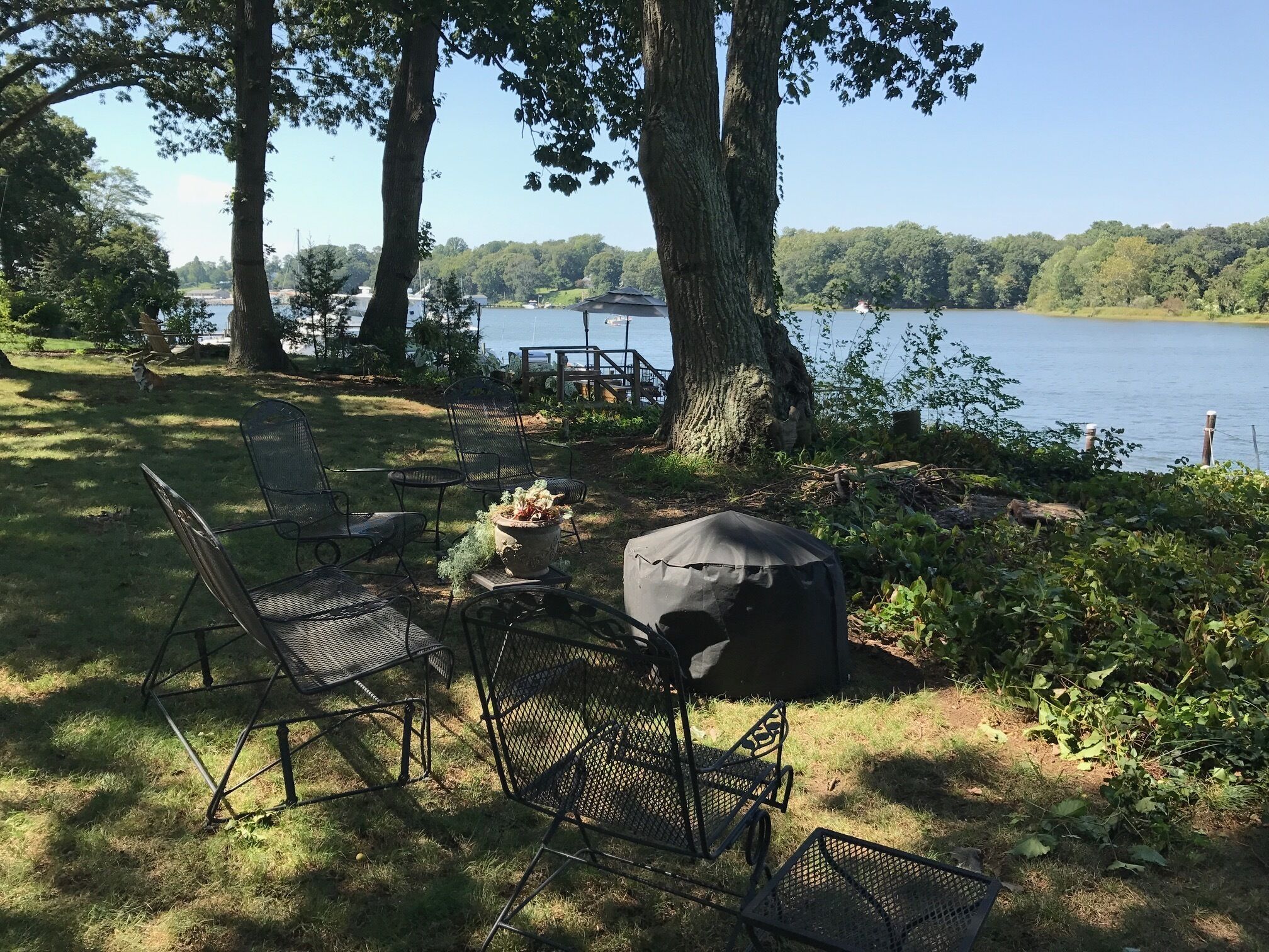 An outdoor seating area with metal chairs and a table, surrounded by trees and a lake view.