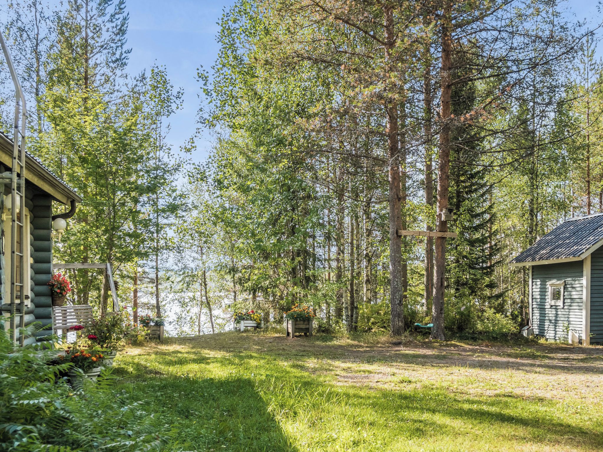 Une cabane entourée de grands arbres et bordée d’une pelouse.