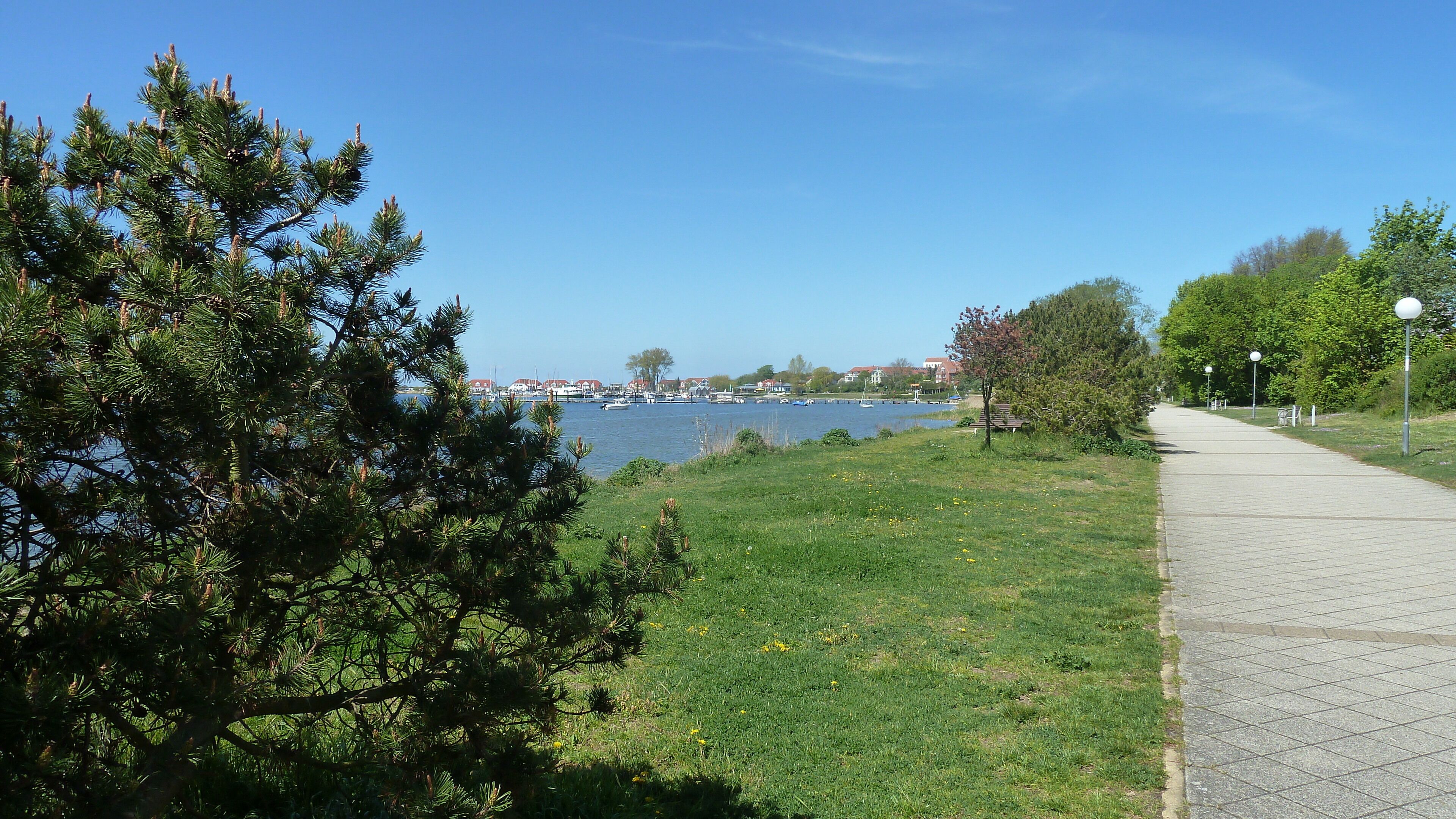 Ein Park mit einem gepflasterten Weg, Rasenflächen und Bäumen.