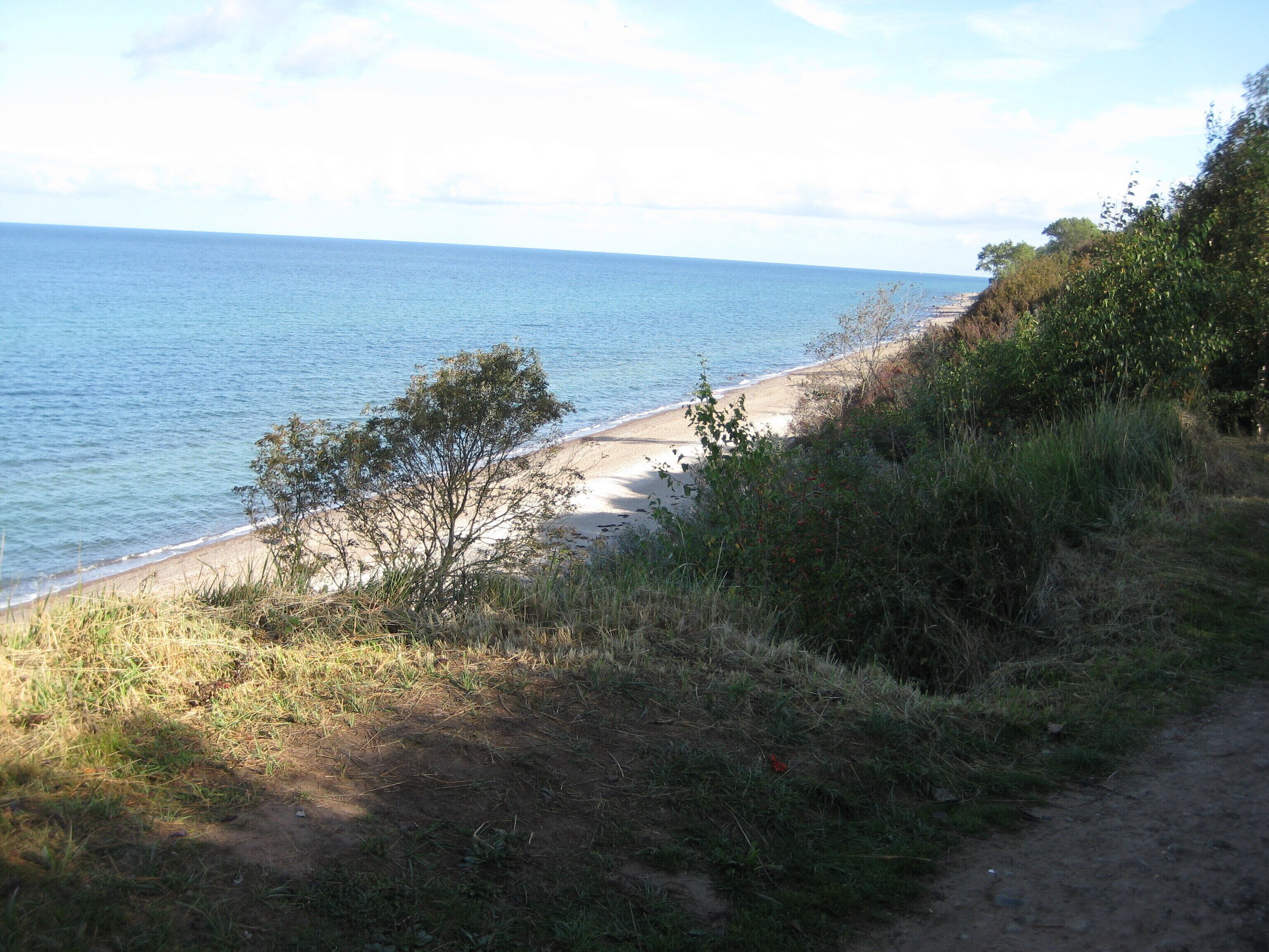 A coastal path with a sandy beach and dense vegetation.