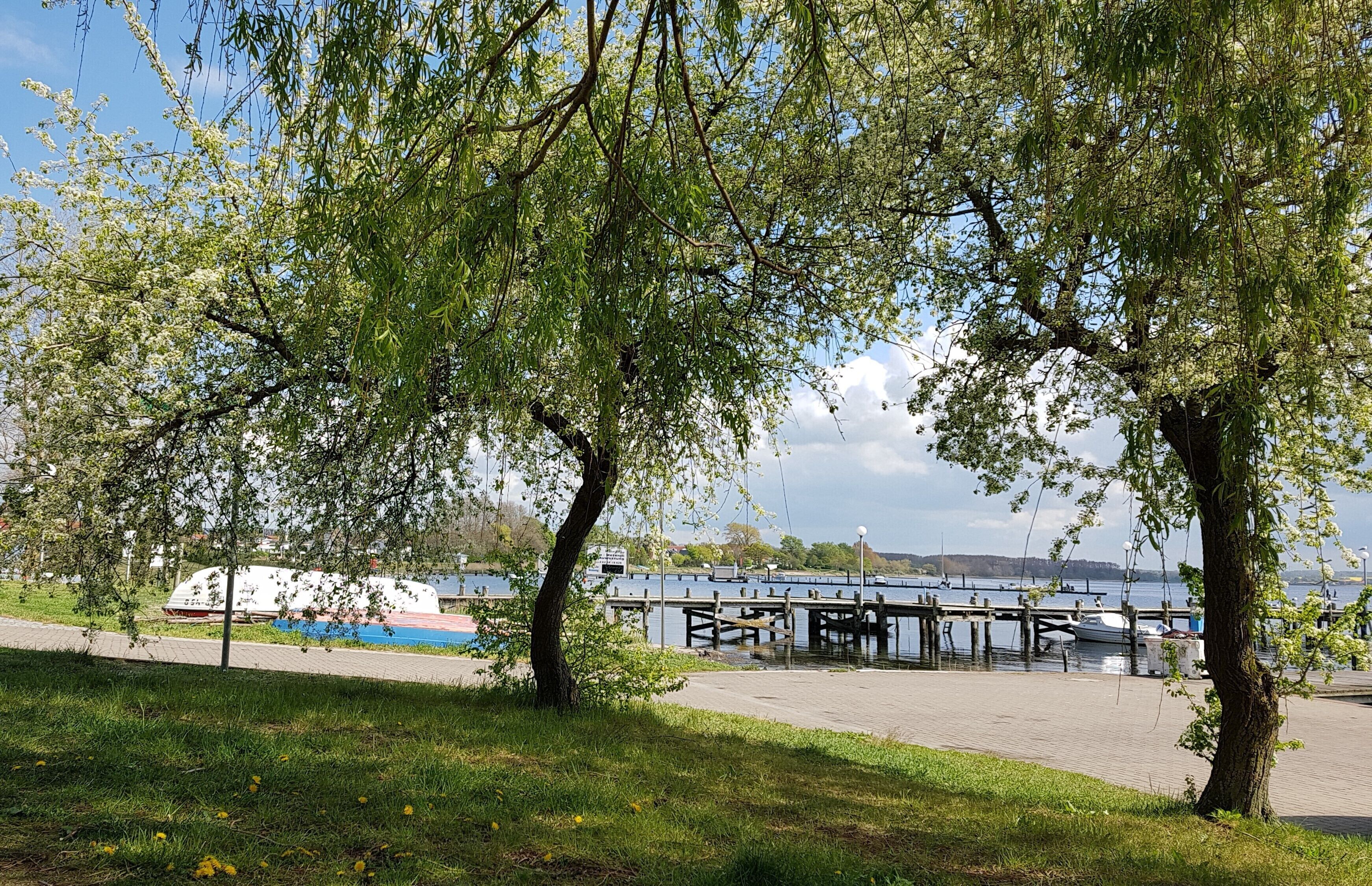 Um parque à beira-rio com um cais de madeira, bancos e um cais para barcos.