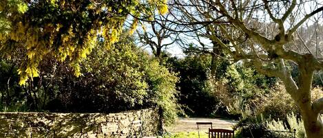 المنطقة المحيطة بالمنشأة