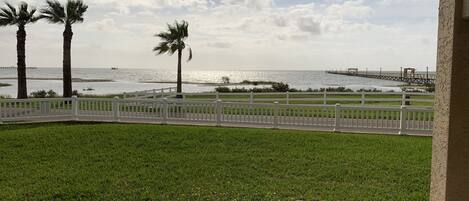 A view of a grassy area with a white fence, palm trees, and a body of water with a pier in the distance.