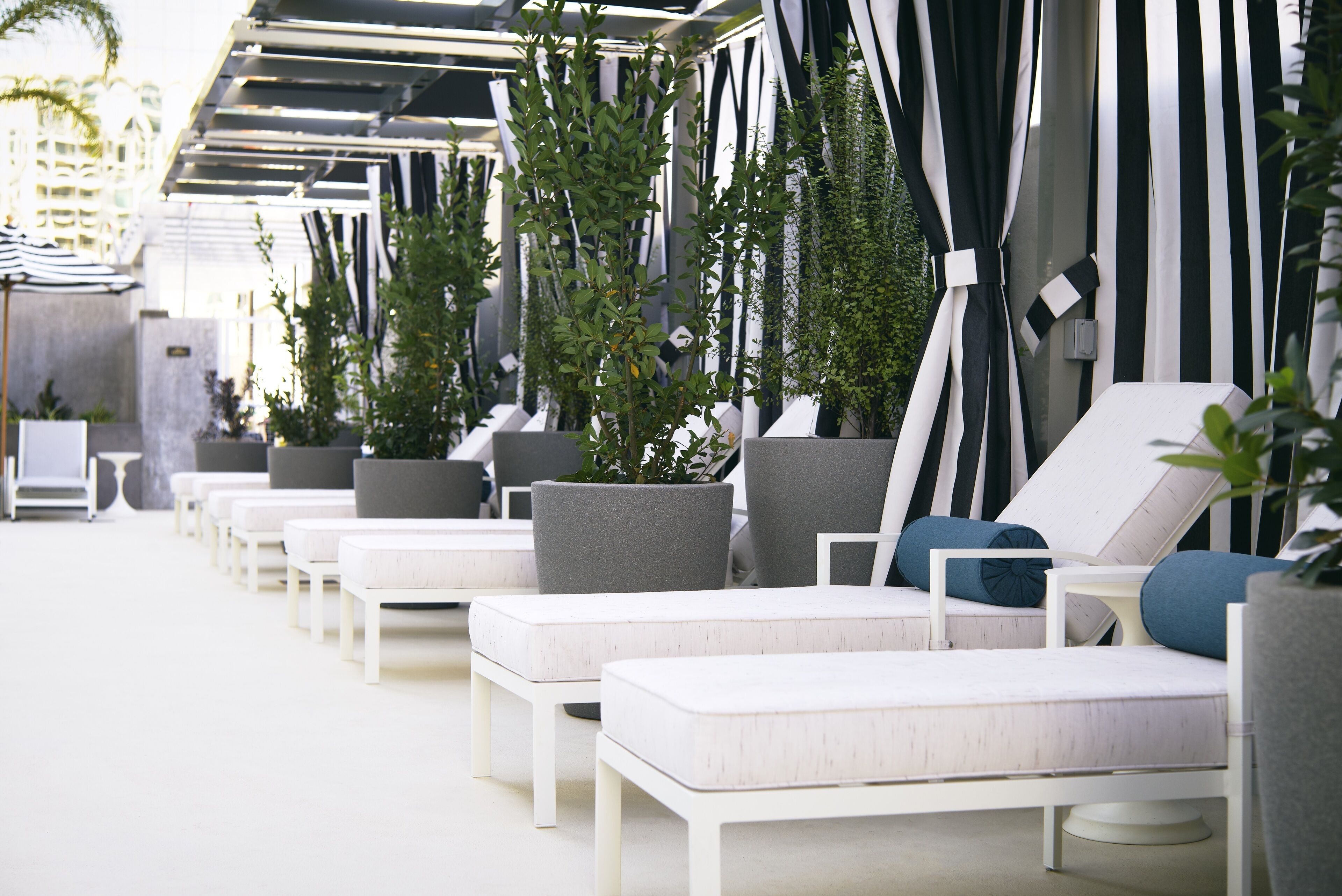 outdoor pool, pool cabanas (surcharge), pool loungers