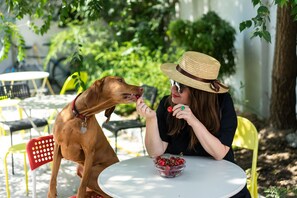Pet-friendly - Good People Design Hostel (Belgrade)