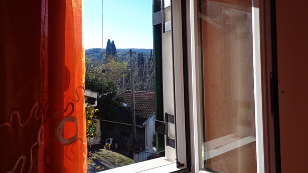 Blick aus einem Fenster mit Vorhang auf ein Wohngebiet mit Häusern und Bäumen.