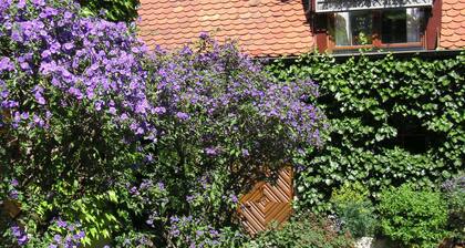 Stylish apartment III on Franconian fruit and Brennereihof