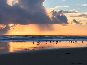 On the beach, sun-loungers, beach towels