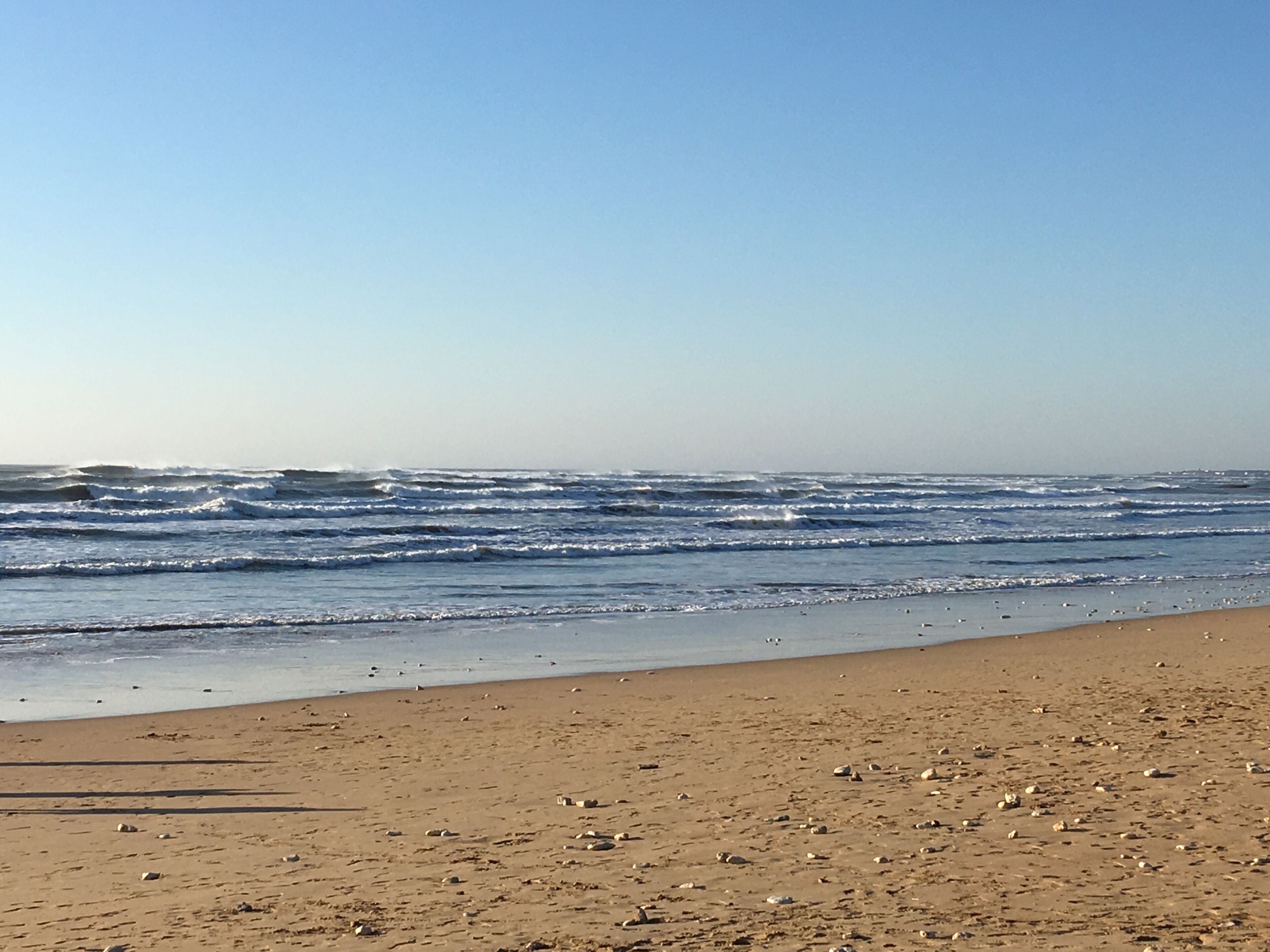 Plage, chaises longues, serviettes de plage