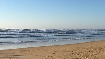 Plage, chaises longues, serviettes de plage