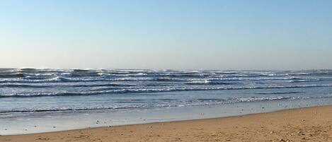 Plage, chaises longues, serviettes de plage