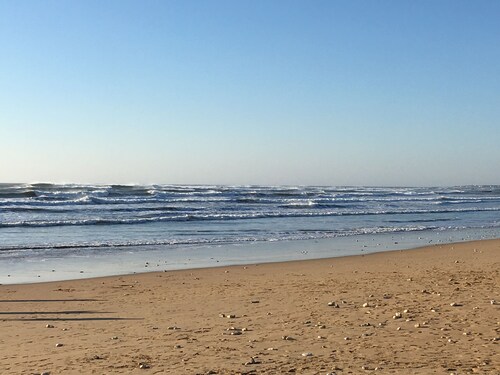 appt vue mer  au pied du phare du grouin du cou . La tranche sur mer