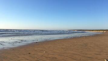 Accommodatie ligt op het strand, ligstoelen, strandlakens