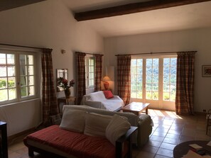 TV, DVD player, books, video library - Provencal Villa With Large Garden And Private Pool (Auribeau-Sur-Siagne)